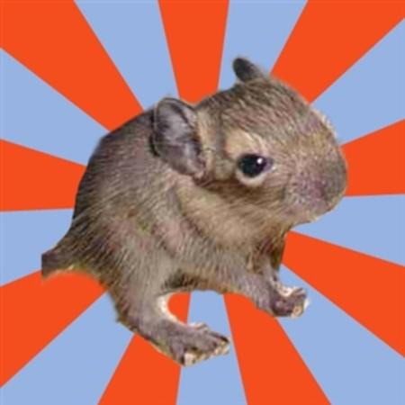 Dissociative Degu Blank Meme Template