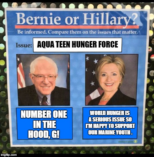 Bernie or Hillary? | AQUA TEEN HUNGER FORCE; NUMBER ONE IN THE HOOD, G! WORLD HUNGER IS A SERIOUS ISSUE SO I'M HAPPY TO SUPPORT OUR MARINE YOUTH . | image tagged in bernie or hillary | made w/ Imgflip meme maker