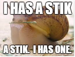 I HAS A STIK; A STIK.
 I HAS ONE. | image tagged in i has a stik | made w/ Imgflip meme maker
