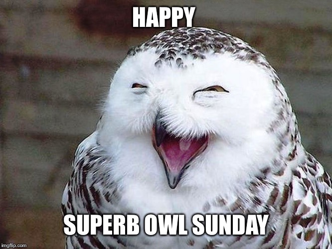To all those in America, Happy super bowl Sunday Imgflip
