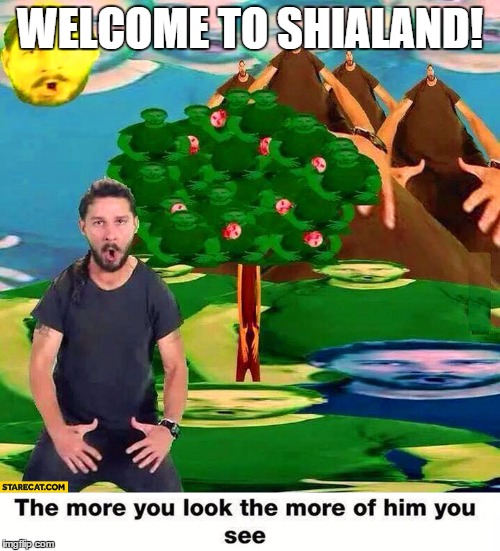 Shia Labeouf the more you look | WELCOME TO SHIALAND! | image tagged in shia labeouf the more you look | made w/ Imgflip meme maker
