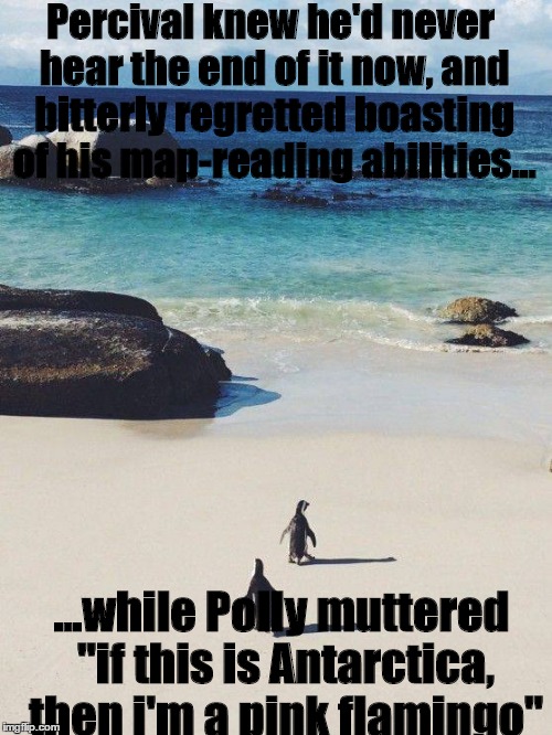funny penguin | Percival knew he'd never hear the end of it now, and bitterly regretted boasting of his map-reading abilities... ...while Polly muttered "if this is Antarctica, then i'm a pink flamingo" | image tagged in ocean beach angry wife | made w/ Imgflip meme maker