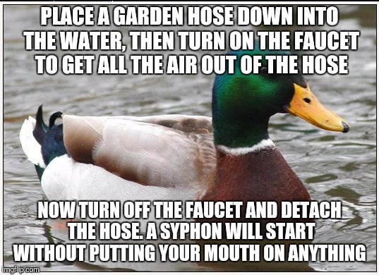 Actual Advice Mallard Meme | PLACE A GARDEN HOSE DOWN INTO THE WATER, THEN TURN ON THE FAUCET TO GET ALL THE AIR OUT OF THE HOSE; NOW TURN OFF THE FAUCET AND DETACH THE HOSE. A SYPHON WILL START WITHOUT PUTTING YOUR MOUTH ON ANYTHING | image tagged in memes,actual advice mallard,AdviceAnimals | made w/ Imgflip meme maker