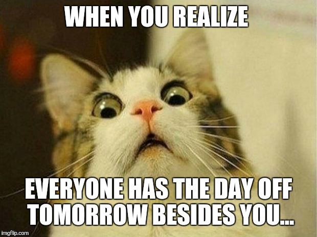 Superbowl party | WHEN YOU REALIZE; EVERYONE HAS THE DAY OFF TOMORROW BESIDES YOU... | image tagged in memes,scared cat | made w/ Imgflip meme maker