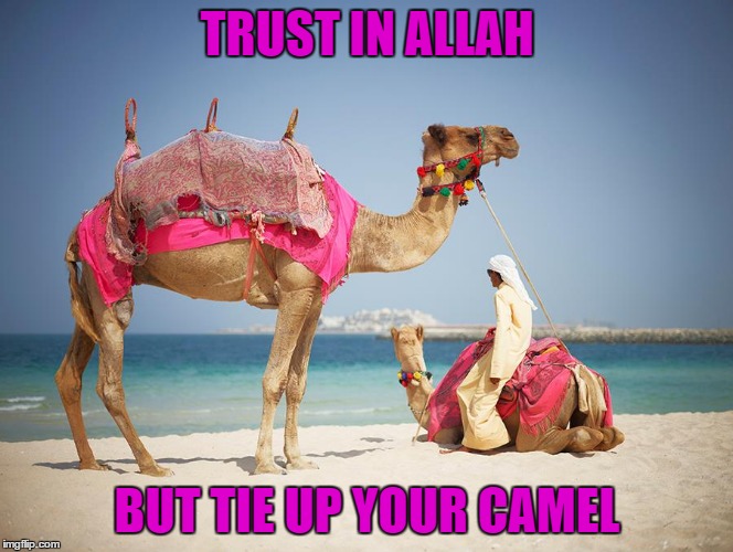 tawwakul   trust  have faith | TRUST IN ALLAH; BUT TIE UP YOUR CAMEL | image tagged in blue sky | made w/ Imgflip meme maker