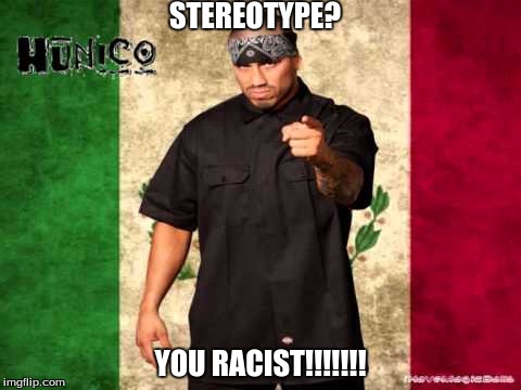 STEREOTYPE? YOU RACIST!!!!!!! | image tagged in hunico | made w/ Imgflip meme maker