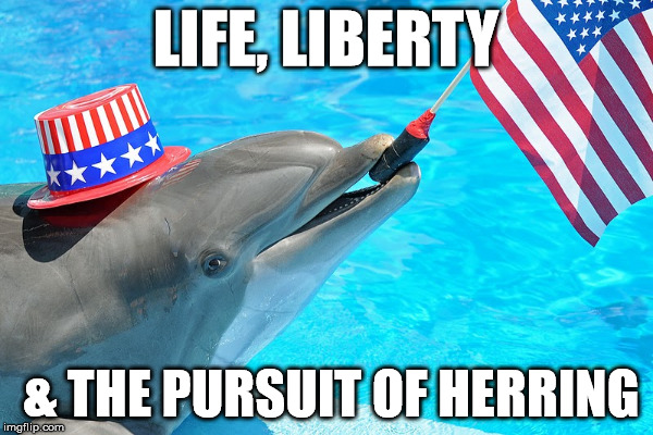 Dolphin Patriot | LIFE, LIBERTY; & THE PURSUIT OF HERRING | image tagged in dolphin,murica | made w/ Imgflip meme maker