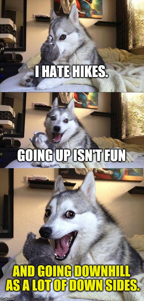 Bad Pun Dog Meme | I HATE HIKES. GOING UP ISN'T FUN; AND GOING DOWNHILL AS A LOT OF DOWN SIDES. | image tagged in memes,bad pun dog | made w/ Imgflip meme maker