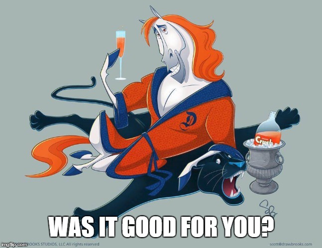 SB50 Champs! | WAS IT GOOD FOR YOU? | image tagged in denver broncos,carolina panthers,football,superbowl | made w/ Imgflip meme maker