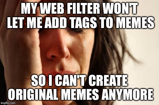 First World Problems | MY WEB FILTER WON'T LET ME ADD TAGS TO MEMES; SO I CAN'T CREATE ORIGINAL MEMES ANYMORE | image tagged in memes,first world problems | made w/ Imgflip meme maker