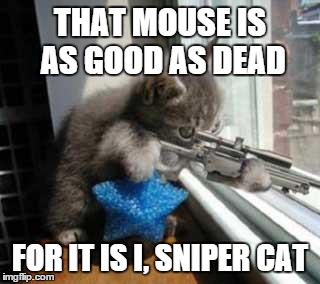 sniper cat | THAT MOUSE IS AS GOOD AS DEAD; FOR IT IS I, SNIPER CAT | image tagged in catsniper | made w/ Imgflip meme maker