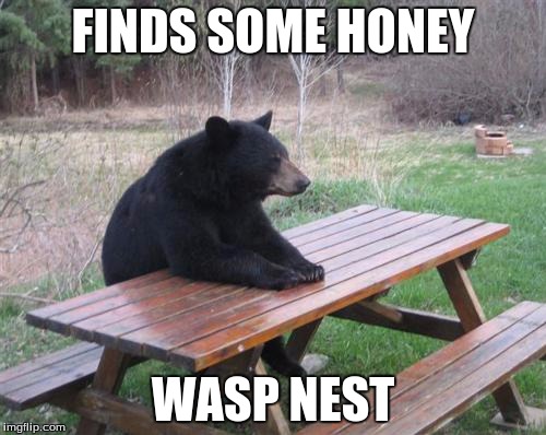 Bad Luck Bear | FINDS SOME HONEY; WASP NEST | image tagged in memes,bad luck bear | made w/ Imgflip meme maker