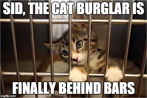 cat prison | SID, THE CAT BURGLAR IS; FINALLY BEHIND BARS | image tagged in cat jail | made w/ Imgflip meme maker