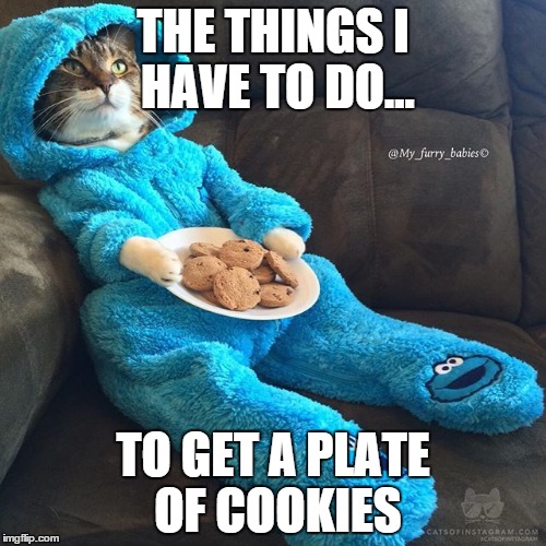 onesie cat | THE THINGS I HAVE TO DO... TO GET A PLATE OF COOKIES | image tagged in cat in pjs | made w/ Imgflip meme maker