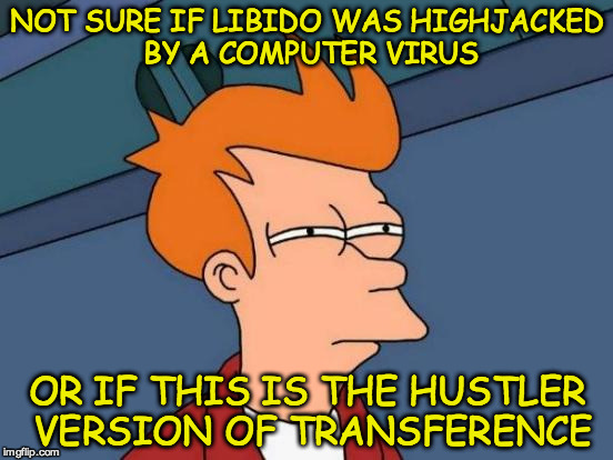 Futurama Fry | NOT SURE IF LIBIDO WAS HIGHJACKED BY A COMPUTER VIRUS; OR IF THIS IS THE HUSTLER VERSION OF TRANSFERENCE | image tagged in memes,futurama fry | made w/ Imgflip meme maker