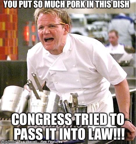 Chef Gordon Ramsay Meme | YOU PUT SO MUCH PORK IN THIS DISH; CONGRESS TRIED TO PASS IT INTO LAW!!! | image tagged in memes,chef gordon ramsay | made w/ Imgflip meme maker