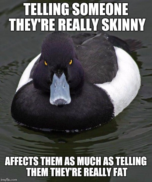 Revenge Duck. | TELLING SOMEONE THEY'RE REALLY SKINNY; AFFECTS THEM AS MUCH AS TELLING THEM THEY'RE REALLY FAT | image tagged in revenge duck | made w/ Imgflip meme maker