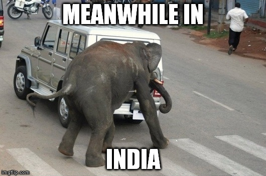 meanwhile in india | MEANWHILE IN; INDIA | image tagged in india | made w/ Imgflip meme maker