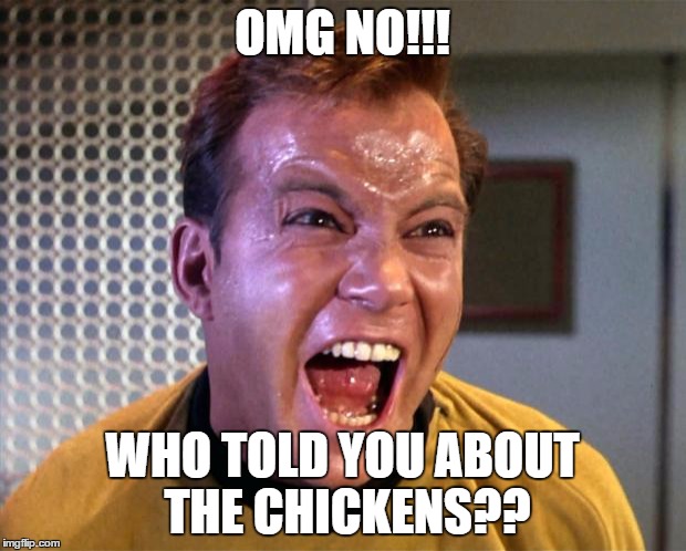 Captain Kirk Screaming | OMG NO!!! WHO TOLD YOU ABOUT THE CHICKENS?? | image tagged in captain kirk screaming | made w/ Imgflip meme maker