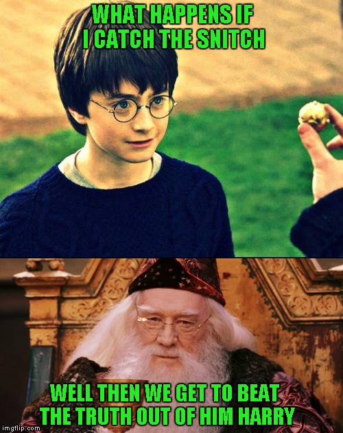 WHAT HAPPENS IF I CATCH THE SNITCH WELL THEN WE GET TO BEAT THE TRUTH OUT OF HIM HARRY | made w/ Imgflip meme maker