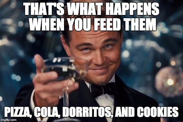 Leonardo Dicaprio Cheers Meme | THAT'S WHAT HAPPENS WHEN YOU FEED THEM PIZZA, COLA, DORRITOS, AND COOKIES | image tagged in memes,leonardo dicaprio cheers | made w/ Imgflip meme maker