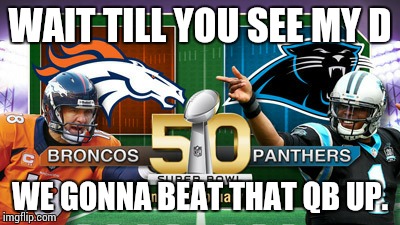 WAIT TILL YOU SEE MY D; WE GONNA BEAT THAT QB UP. | image tagged in cam newton,superbowl | made w/ Imgflip meme maker