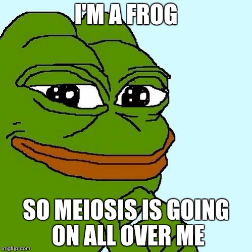 Meiosis | I'M A FROG; SO MEIOSIS IS GOING ON ALL OVER ME | image tagged in memes,science | made w/ Imgflip meme maker