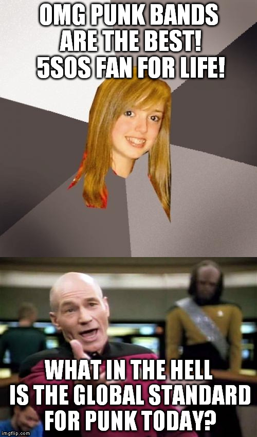 Remember when punk music was anti-government and anti-establishment, and anti-fatcat label owners? | OMG PUNK BANDS ARE THE BEST! 5SOS FAN FOR LIFE! WHAT IN THE HELL IS THE GLOBAL STANDARD FOR PUNK TODAY? | image tagged in punk,musically oblivious 8th grader,picard wtf | made w/ Imgflip meme maker