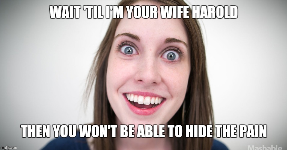 WAIT 'TIL I'M YOUR WIFE HAROLD THEN YOU WON'T BE ABLE TO HIDE THE PAIN | made w/ Imgflip meme maker
