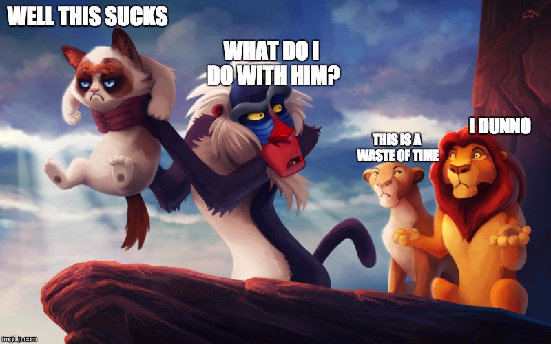 WELL THIS SUCKS; WHAT DO I DO WITH HIM? I DUNNO; THIS IS A WASTE OF TIME | image tagged in grumpy cat,lion king | made w/ Imgflip meme maker
