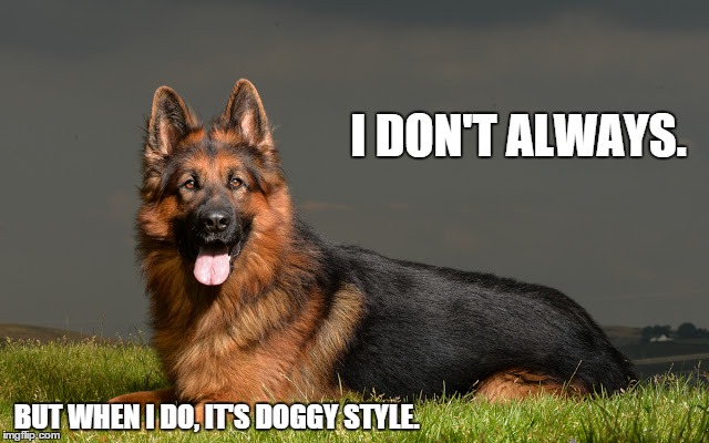 Photogenic Dog. | I DON'T ALWAYS. BUT WHEN I DO, IT'S DOGGY STYLE. | image tagged in i don't always | made w/ Imgflip meme maker