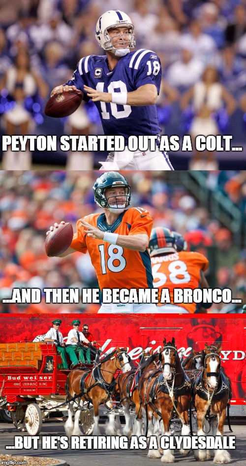 Peyton Manning was a workhorse throughout his career - figuratively and literally!  |  PEYTON STARTED OUT AS A COLT... ...AND THEN HE BECAME A BRONCO... ...BUT HE'S RETIRING AS A CLYDESDALE | image tagged in peyton manning,indianapolis colts,denver broncos,budweiser,original meme,football | made w/ Imgflip meme maker