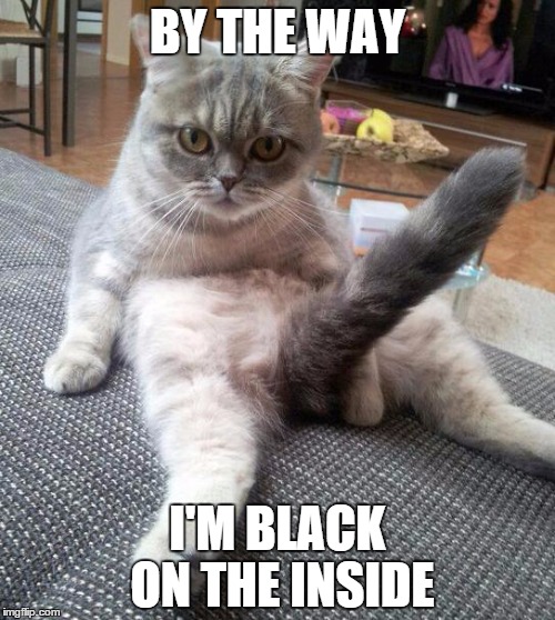 Sexy Cat | BY THE WAY; I'M BLACK ON THE INSIDE | image tagged in memes,sexy cat | made w/ Imgflip meme maker
