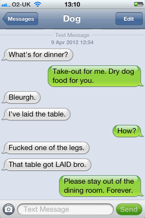 image tagged in funny,texts,dogs