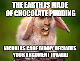 THE EARTH IS MADE OF CHOCOLATE PUDDING NICHOLAS CAGE BUNNY DECLARES YOUR ARGUMENT INVALID | made w/ Imgflip meme maker