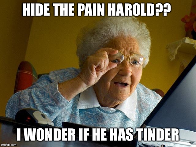Grandma Finds The Internet | HIDE THE PAIN HAROLD?? I WONDER IF HE HAS TINDER | image tagged in memes,grandma finds the internet | made w/ Imgflip meme maker