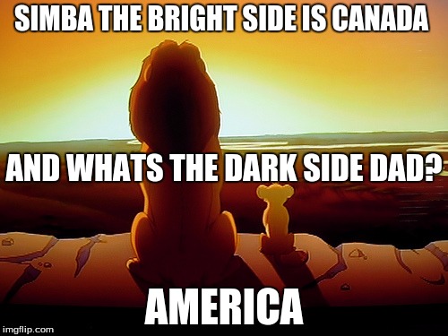 Lion King Meme | SIMBA THE BRIGHT SIDE IS CANADA; AND WHATS THE DARK SIDE DAD? AMERICA | image tagged in memes,lion king | made w/ Imgflip meme maker