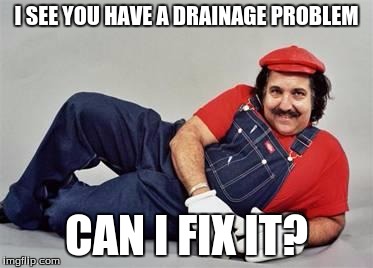 Pervert Mario | I SEE YOU HAVE A DRAINAGE PROBLEM; CAN I FIX IT? | image tagged in pervert mario | made w/ Imgflip meme maker
