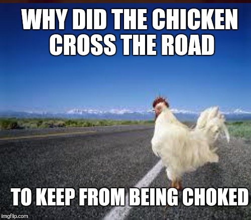 WHY DID THE CHICKEN CROSS THE ROAD TO KEEP FROM BEING CHOKED | made w/ Imgflip meme maker