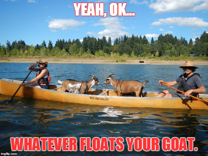 Goat Boat | YEAH, OK... WHATEVER FLOATS YOUR GOAT. | image tagged in goats,boats | made w/ Imgflip meme maker