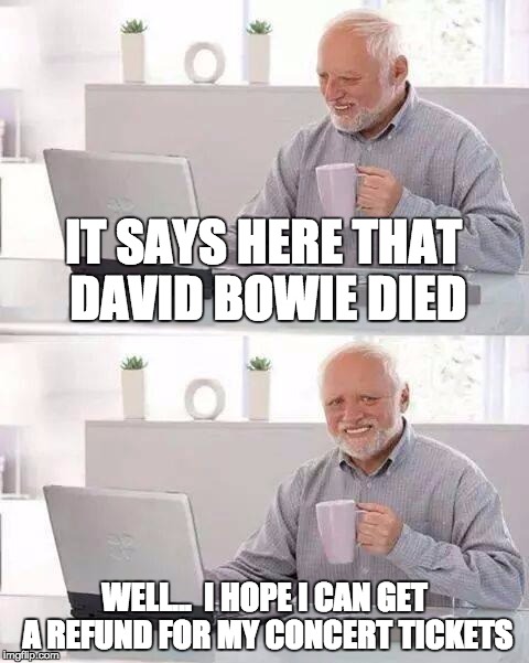 Cancelled Concert | IT SAYS HERE THAT DAVID BOWIE DIED; WELL...  I HOPE I CAN GET A REFUND FOR MY CONCERT TICKETS | image tagged in memes,hide the pain harold,david bowie,refund,concert | made w/ Imgflip meme maker