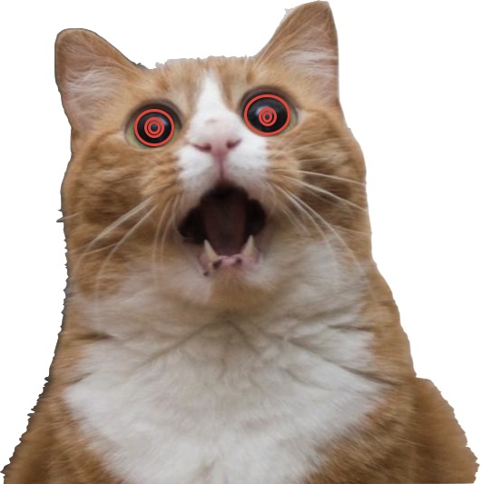 High Quality Hypnotic scared cat Blank Meme Template