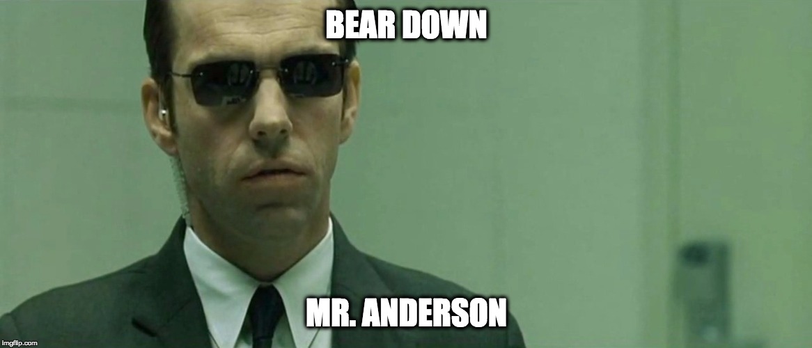 BEAR DOWN; MR. ANDERSON | made w/ Imgflip meme maker