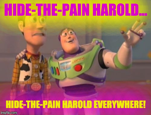 X, X Everywhere Meme | HIDE-THE-PAIN HAROLD... HIDE-THE-PAIN HAROLD EVERYWHERE! | image tagged in memes,x x everywhere | made w/ Imgflip meme maker