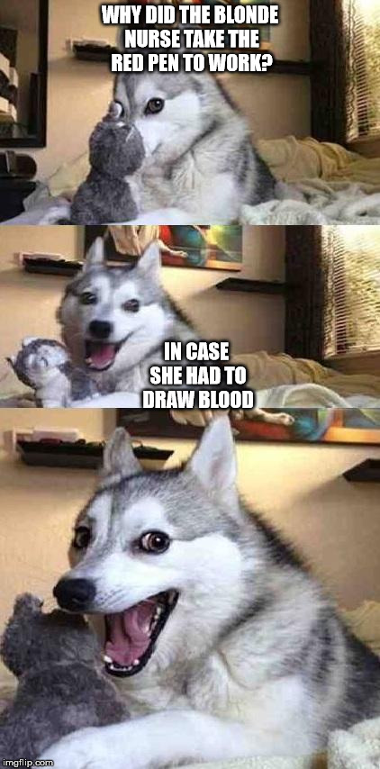 Dog Joke | WHY DID THE BLONDE NURSE TAKE THE RED PEN TO WORK? IN CASE SHE HAD TO DRAW BLOOD | image tagged in dog joke | made w/ Imgflip meme maker