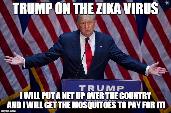 Donald Trump | TRUMP ON THE ZIKA VIRUS; I WILL PUT A NET UP OVER THE COUNTRY AND I WILL GET THE MOSQUITOES TO PAY FOR IT! | image tagged in donald trump | made w/ Imgflip meme maker