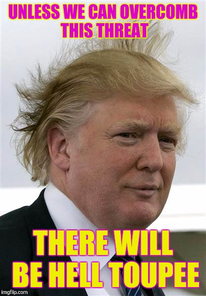 Don't Let Him Triump | UNLESS WE CAN OVERCOMB THIS THREAT; THERE WILL BE HELL TOUPEE | image tagged in trump's hair,donald trump,bad pun dog | made w/ Imgflip meme maker