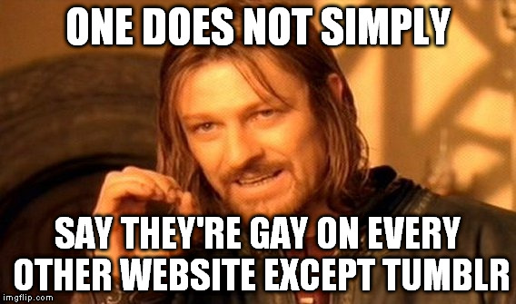 ONE DOES NOT SIMPLY SAY THEY'RE GAY ON EVERY OTHER WEBSITE EXCEPT TUMBLR | image tagged in memes,one does not simply | made w/ Imgflip meme maker