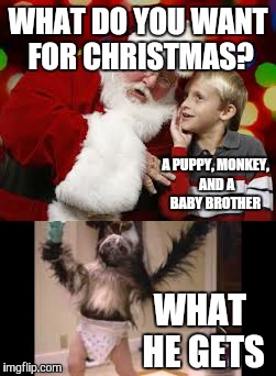 Bad luck brian as a kid. Thanks a lot Kickstart | WHAT DO YOU WANT FOR CHRISTMAS? A PUPPY, MONKEY, AND A BABY BROTHER; WHAT HE GETS | image tagged in santa clause | made w/ Imgflip meme maker