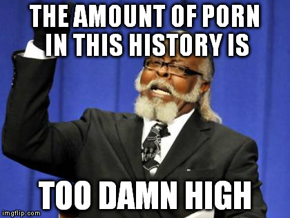 THE AMOUNT OF PORN IN THIS HISTORY IS TOO DAMN HIGH | image tagged in memes,too damn high | made w/ Imgflip meme maker
